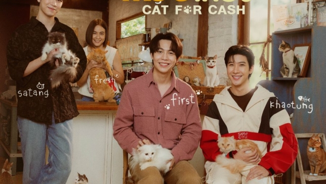 Cat for Cash