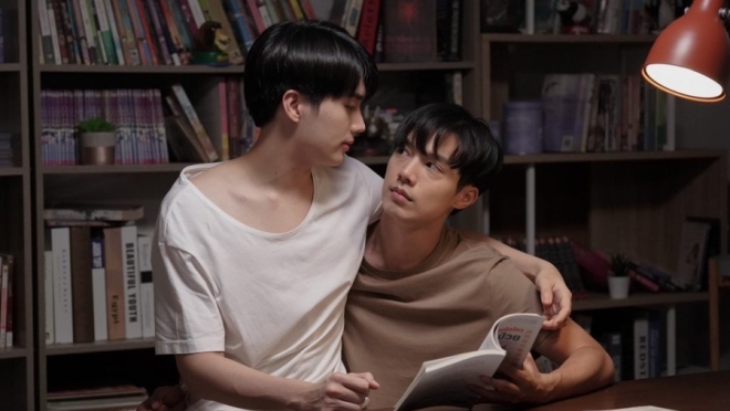 The Miracle of Teddy Bear 