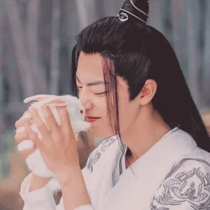 Wei wuxian 