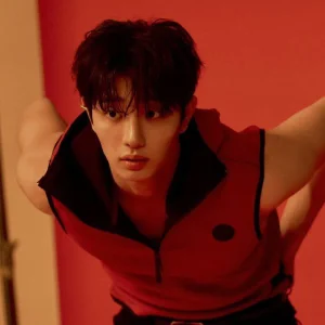 Fileliçıtırmermer