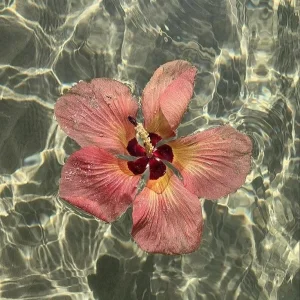 ᥫ᭡.°★.⋆ᥫ᭡