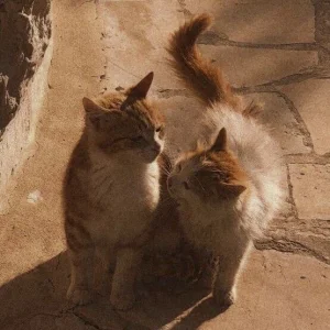 •ふゆみ•