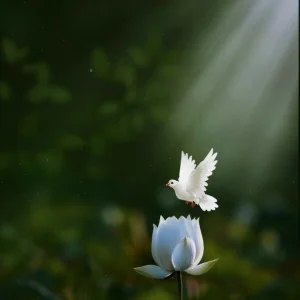 ✨️Gece Kuşu✨️