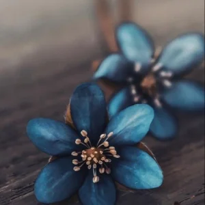 ✨️Gece Kuşu✨️