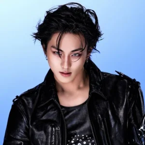 ･:∴Ɲøva∴:･