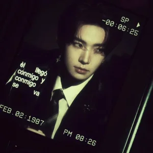 ⊹ ࣪ ˖mrsheeseunglee?ৎ༝