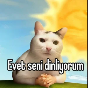 Bırakizliyorum