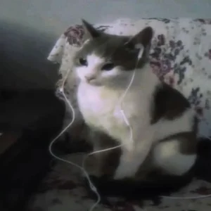 DADI