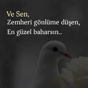 Meral