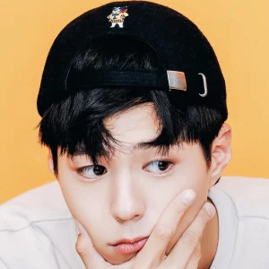 Bogummy