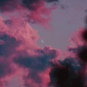 Nnnrr~♡